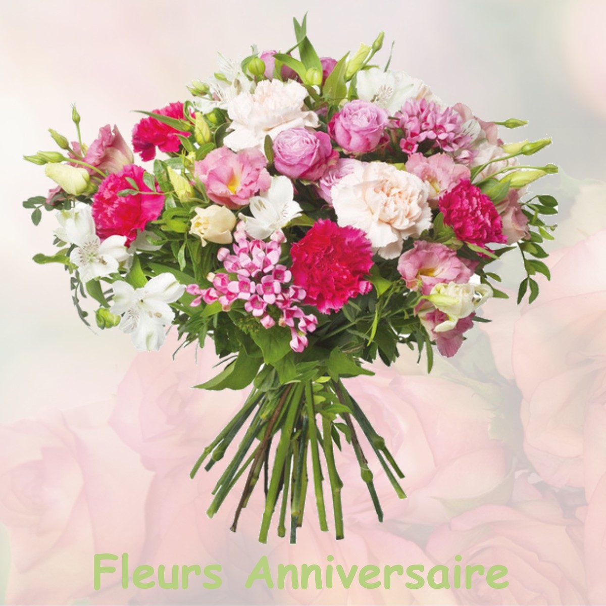 fleurs anniversaire PUGET-VILLE